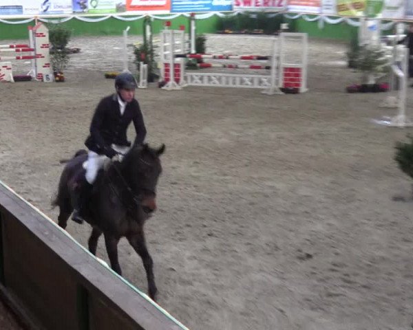 Keppelner Springpferdemeeting 2016