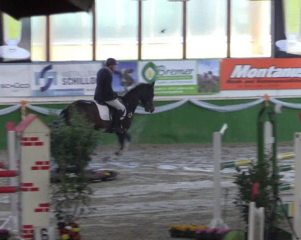 Keppelner Springpferdemeeting 2016