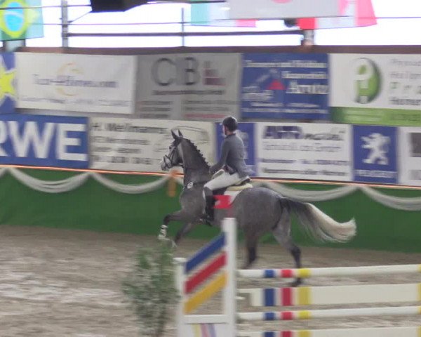 Keppelner Springpferdemeeting 2016