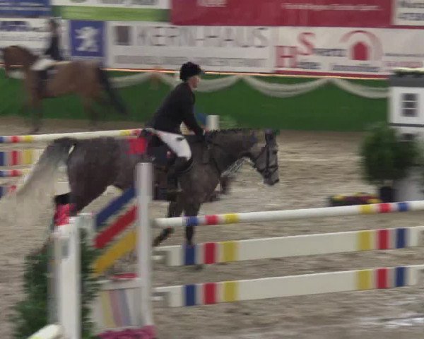 Keppelner Springpferdemeeting 2016