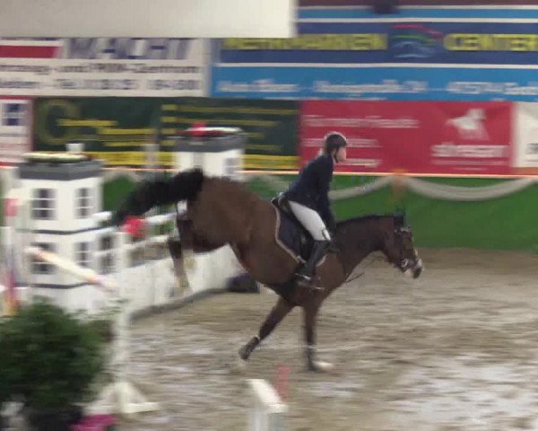 Keppelner Springpferdemeeting 2016