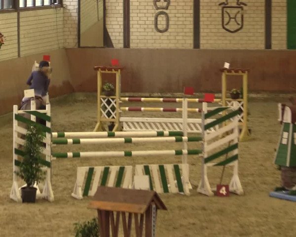 Reitturnier Hamm-Rhynern 2016