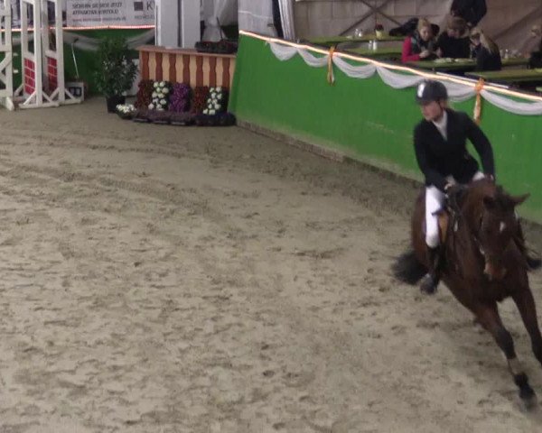 Keppelner Springpferdemeeting 2016