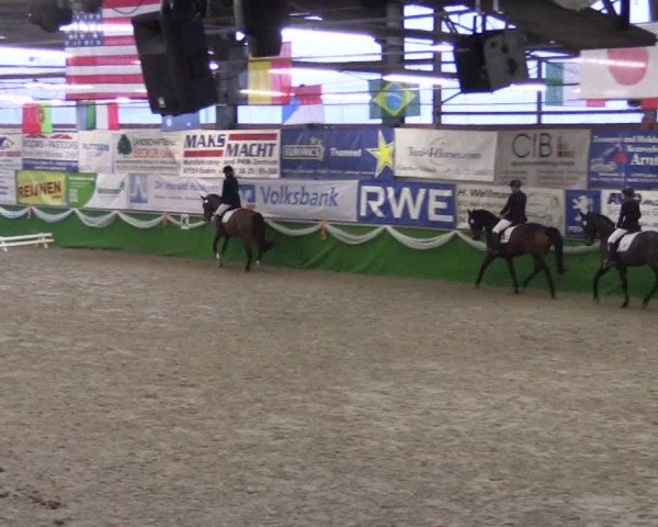 Keppelner Springpferdemeeting 2016