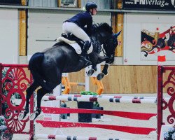 jumper Kantalou (Hanoverian, 2014, from Kannan)