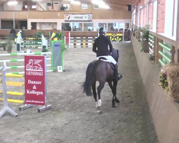 Reitturnier Dettingen 2016
