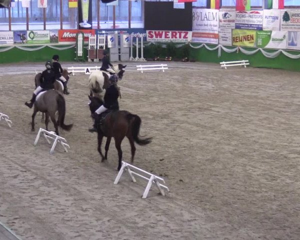 Keppelner Springpferdemeeting 2016