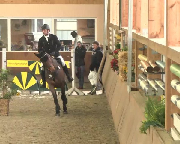 Reitturnier Dettingen 2016