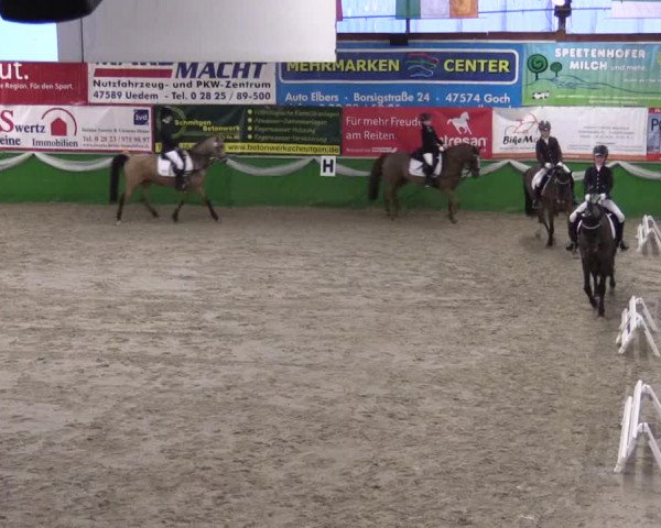 Keppelner Springpferdemeeting 2016
