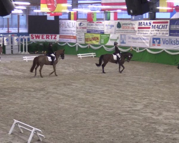 Keppelner Springpferdemeeting 2016