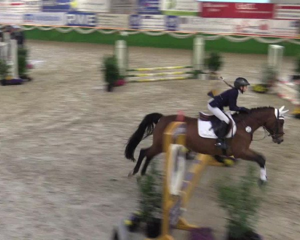 Keppelner Springpferdemeeting 2016