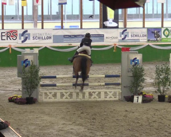 Keppelner Springpferdemeeting 2016