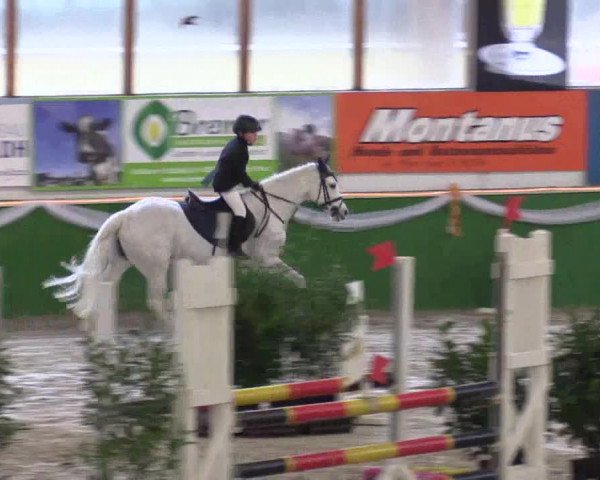 Keppelner Springpferdemeeting 2016