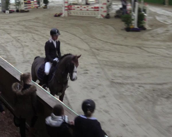 Keppelner Springpferdemeeting 2016