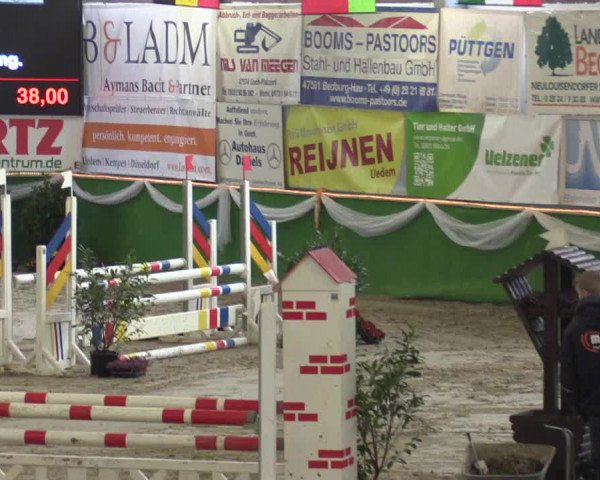 Keppelner Springpferdemeeting 2016
