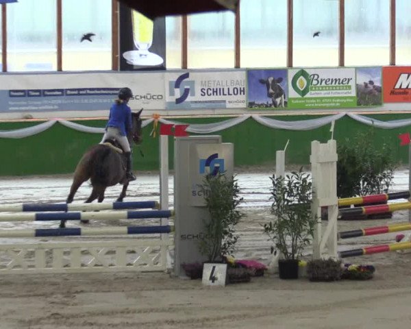 Keppelner Springpferdemeeting 2016