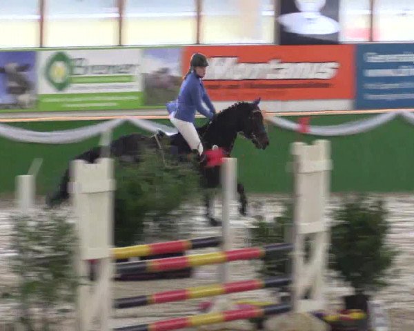 Keppelner Springpferdemeeting 2016
