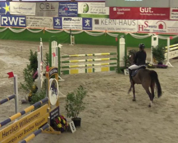 Keppelner Springpferdemeeting 2016