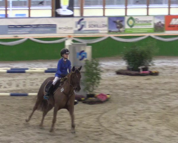 Keppelner Springpferdemeeting 2016