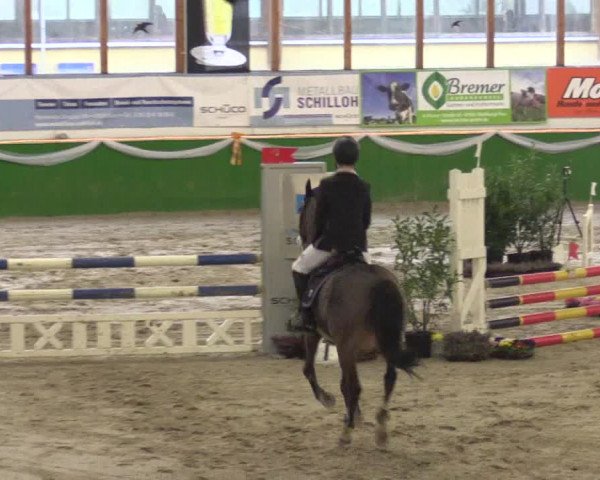 Keppelner Springpferdemeeting 2016