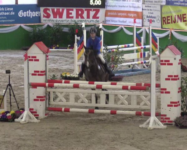 Keppelner Springpferdemeeting 2016