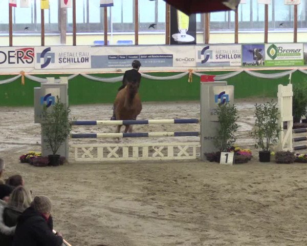Keppelner Springpferdemeeting 2016