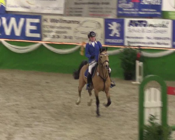 Keppelner Springpferdemeeting 2016