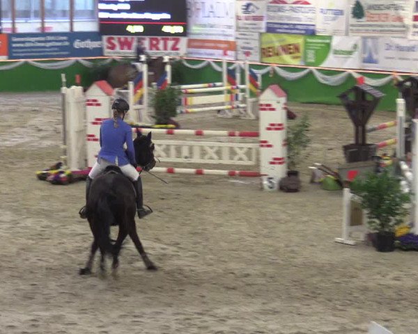 Keppelner Springpferdemeeting 2016