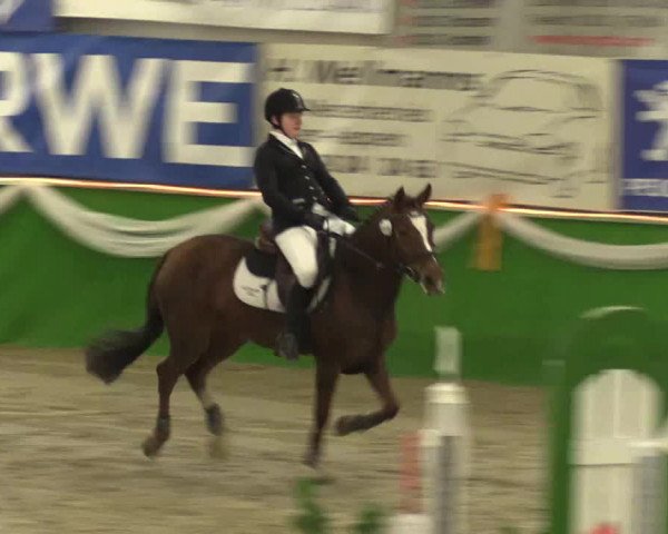 Keppelner Springpferdemeeting 2016