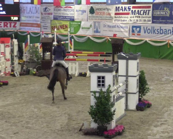 Keppelner Springpferdemeeting 2016