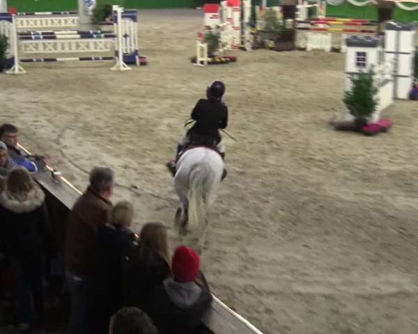 Keppelner Springpferdemeeting 2016