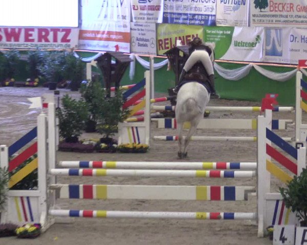 Keppelner Springpferdemeeting 2016