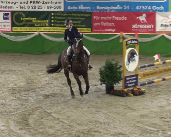 Keppelner Springpferdemeeting 2016