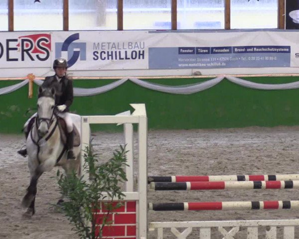 Keppelner Springpferdemeeting 2016