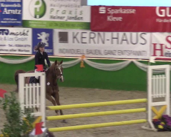 Keppelner Springpferdemeeting 2016