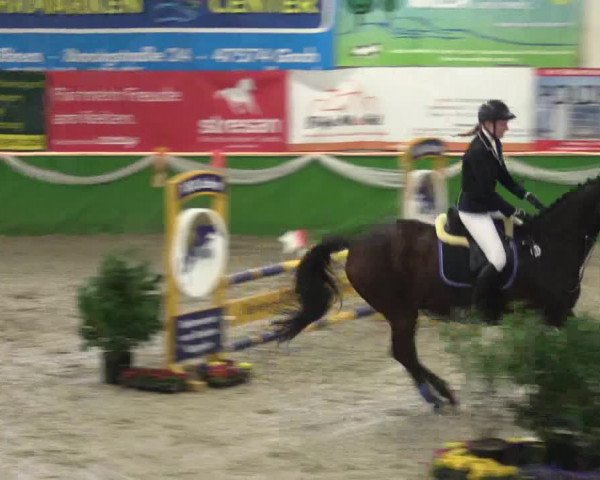 Keppelner Springpferdemeeting 2016