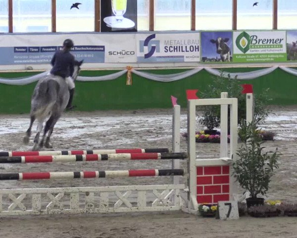 Keppelner Springpferdemeeting 2016