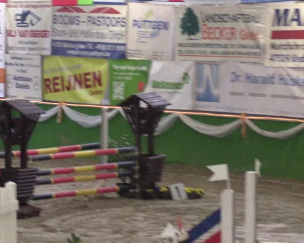 Keppelner Springpferdemeeting 2016