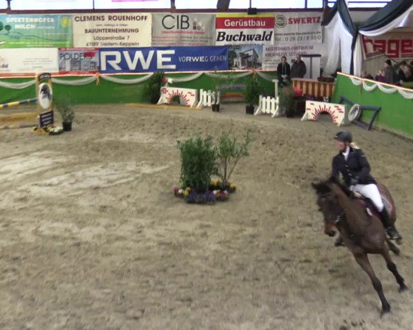 Keppelner Springpferdemeeting 2016