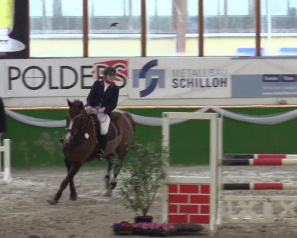Keppelner Springpferdemeeting 2016
