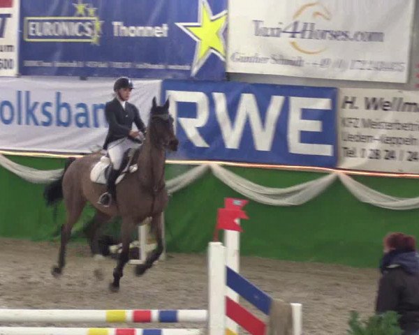 Keppelner Springpferdemeeting 2016