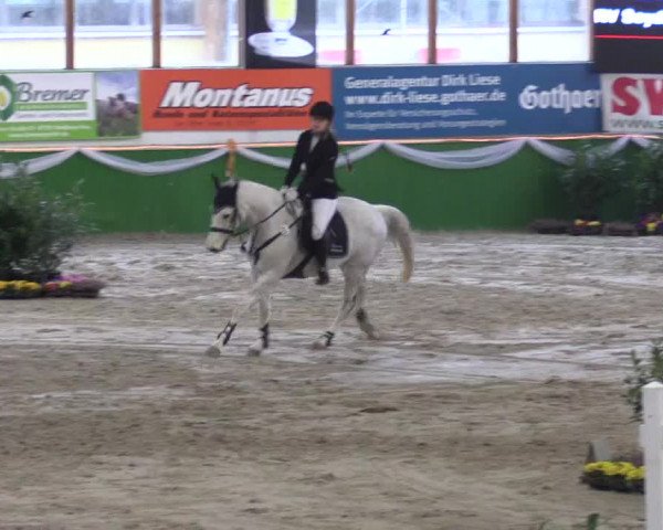 Keppelner Springpferdemeeting 2016
