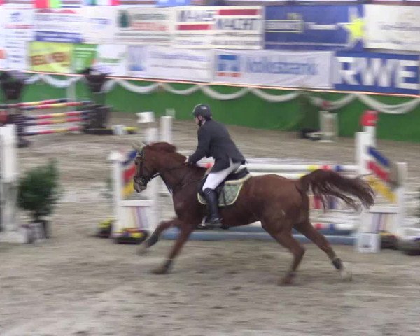 Keppelner Springpferdemeeting 2016