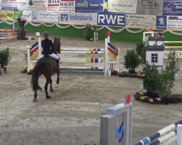 Keppelner Springpferdemeeting 2016