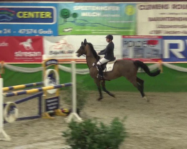 Keppelner Springpferdemeeting 2016