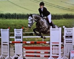 jumper Casyada (Holsteiner, 2013, from Casalito)