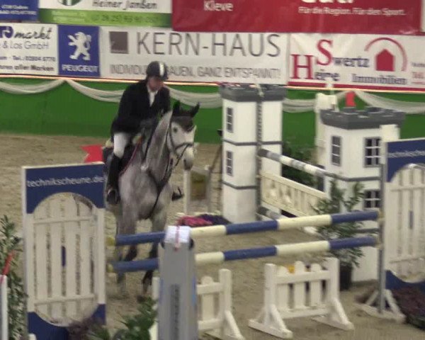 Keppelner Springpferdemeeting 2016