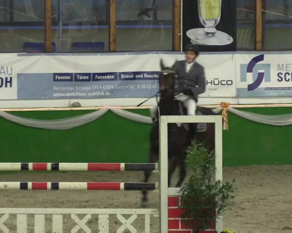 Keppelner Springpferdemeeting 2016