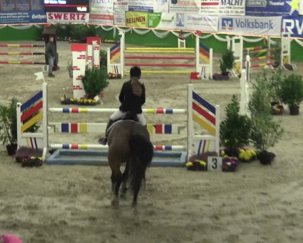 Keppelner Springpferdemeeting 2016