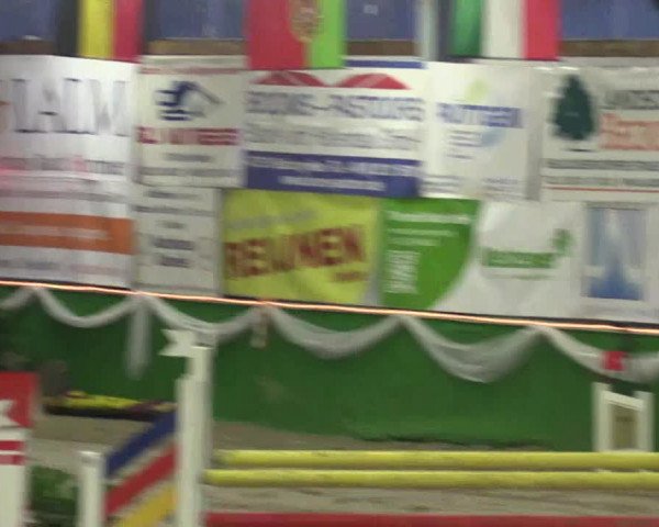 Keppelner Springpferdemeeting 2016